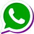 Icona WhatsApp