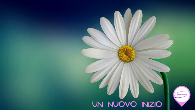 PRIMAVERA UN NUOVO INIZIO – di Letizia Capodicasa