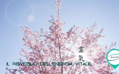 Un sostegno di Energia, REIKI DI PRIMAVERA – di Letizia Capodicasa