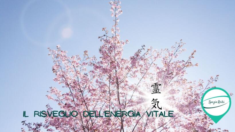 Un sostegno di Energia, REIKI DI PRIMAVERA – di Letizia Capodicasa